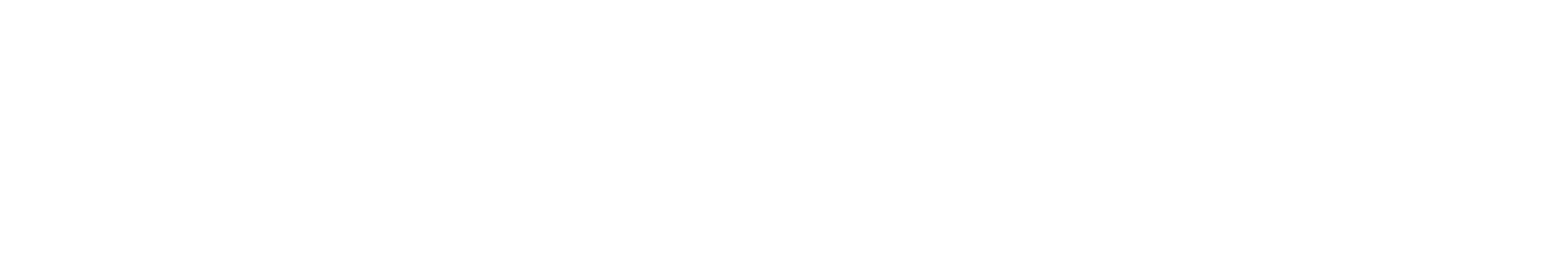 DC Partner - Sicher & Effizient